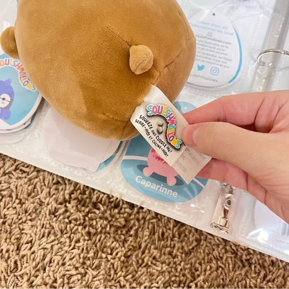 4" Squishmallow Bear (Baron) NO BIO TAGS - Picture 4 of 4